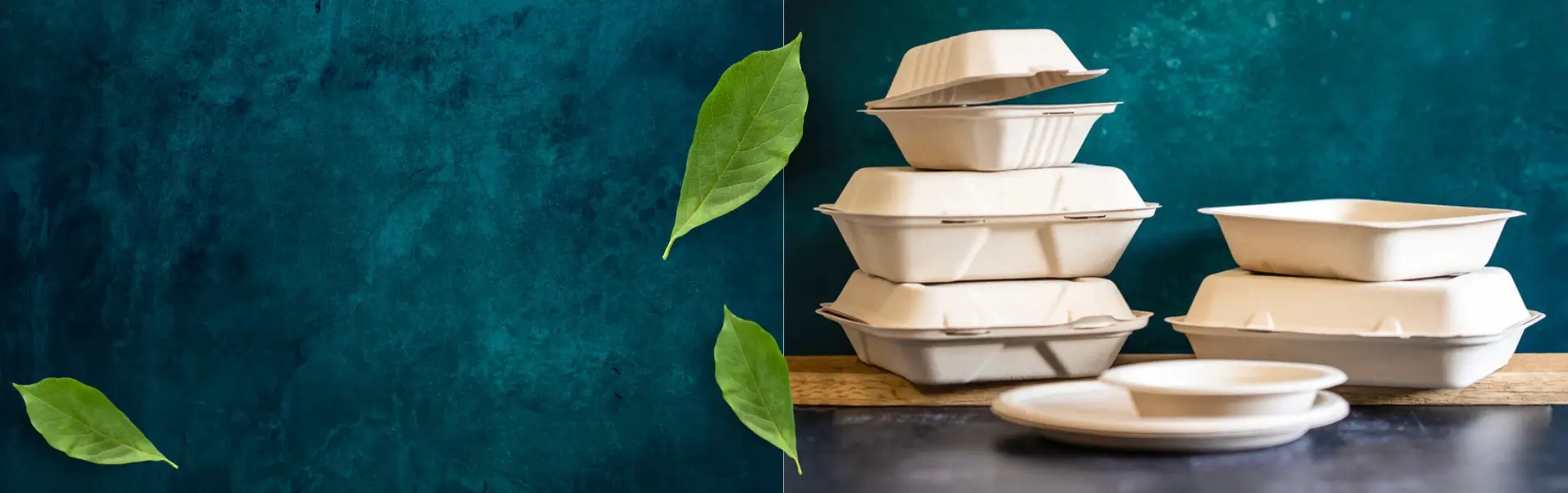 Ecocatering