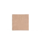 24cm 2-ply unbleached napkin