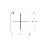 24cm 2-ply unbleached napkin