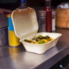 7 x 5in regular bagasse clamshell