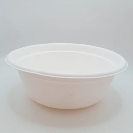14oz bagasse plate