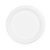 10in bagasse plate
