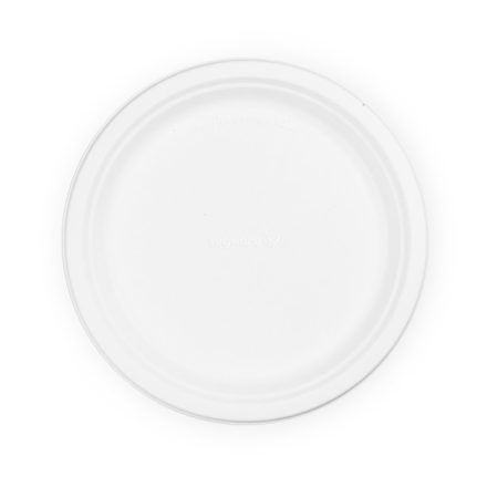 10in bagasse plate