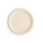 7in bagasse plate