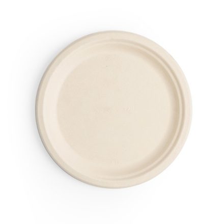 9in bagasse plate