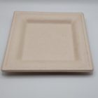 6in square bagasse plate