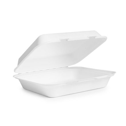 9 x 8in bagasse lunch box