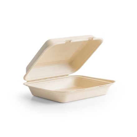 9 x 8in bagasse lunch box