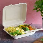 9 x 8in bagasse lunch box