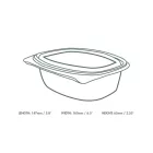24oz PLA hinged deli container