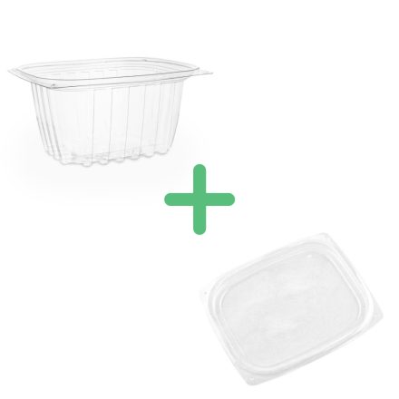16oz PLA rectangular deli container with lid (bundle)