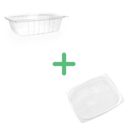 24oz PLA rectangular deli container with lid (bundle)