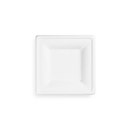 6in square bagasse plate