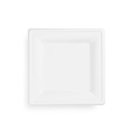 8in square bagasse plate