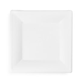   Lebomló cukornád tányér, négyszögletes, 25 cm | 50 db/csomag