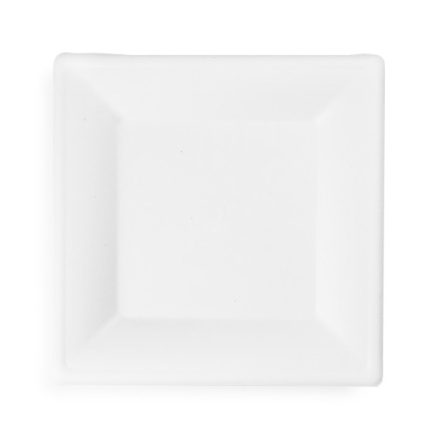 10in square bagasse plate