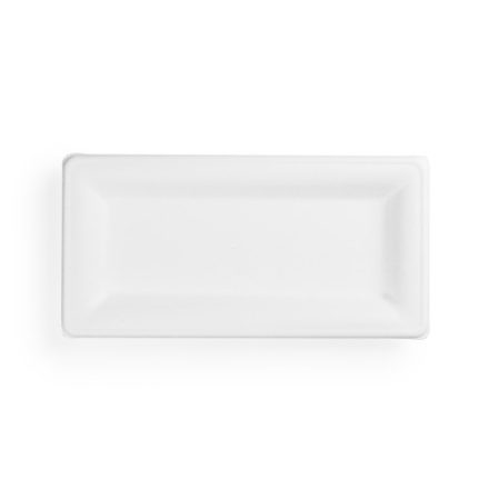 10 x 5in rectangular bagasse plate